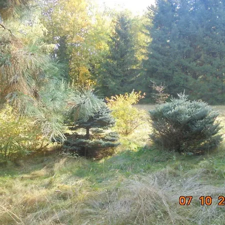 Wojtowka 16 Ladek-Zdroj
