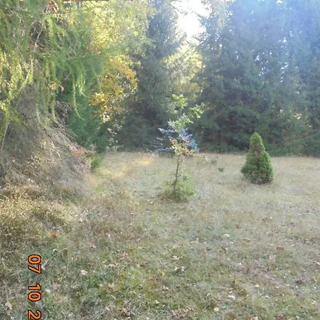 Wojtowka 16 Holiday home *