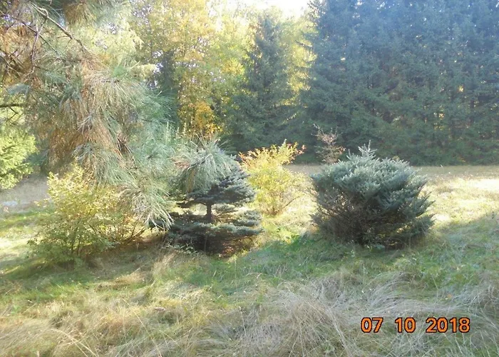 Wojtowka 16 Lądek-Zdrój