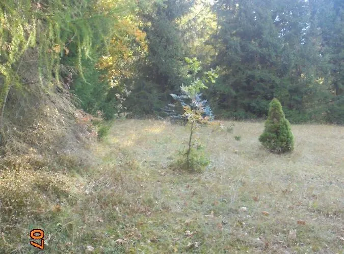 Wojtowka 16 Casa vacanze *